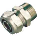 Ρακόρ Αρσενικό