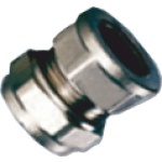 Ρακόρ Θηλυκό