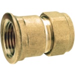 Ρακόρ Θηλυκό