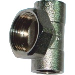 Τερματικό Θηλυκό