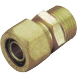 Ρακόρ Αρσενικό