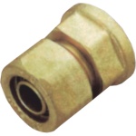 Ρακόρ Θηλυκό